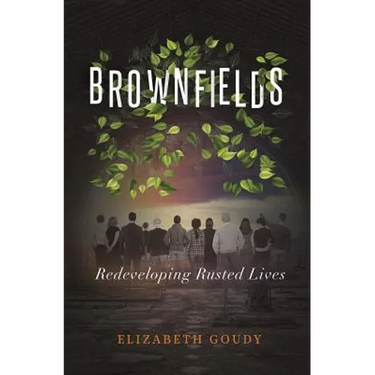 Brownfields