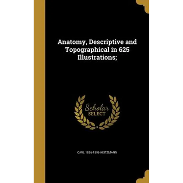 Anatomy, Descriptive and Topographical in 625 Illustrations;
