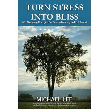 Turn Stress Into Bliss: Life-changing strategies for finding meaning and fulfillment