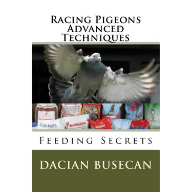 Racing Pigeons Advanced Techniques: Feeding Secrets