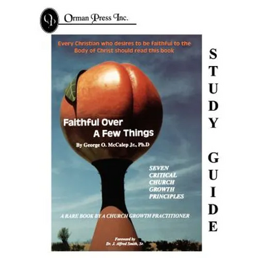Faithful Over a Few Things Study Guide