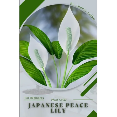 Japanese Peace Lily: Plant Guide