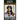 Izzy the Bernese Mountain Dog: A Picture Storybook for Children & Adults
