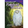 Young Adult Literature: Magical Worlds