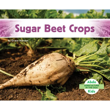 Sugar Beet Crops
