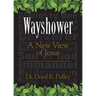 Wayshower: A New View of Jesus