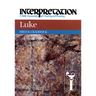 Luke: Interpretation: A Bible Commentary for Teaching and Preaching