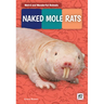 Naked Mole Rats