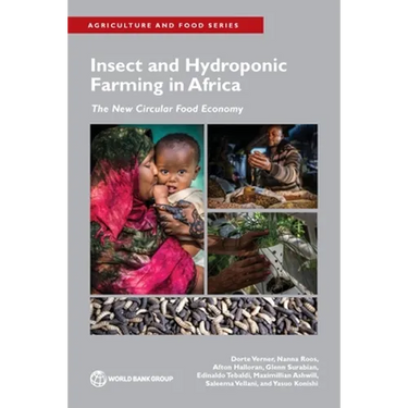 Insect and Hydroponic Farming in Africa