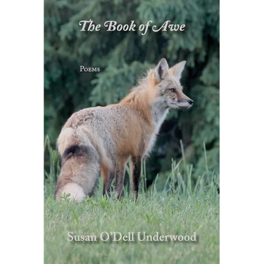 The Book of Awe