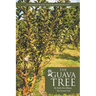 The Guava Tree