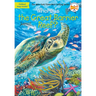 Where Is the Great Barrier Reef?