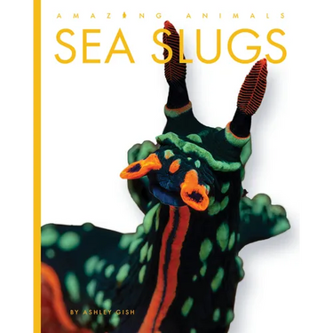 Sea Slugs