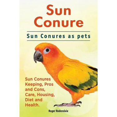 Sun Conure. Sun Conures as pets. Sun Conures Keeping, Pros and Cons, Care, Housing, Diet and Health.