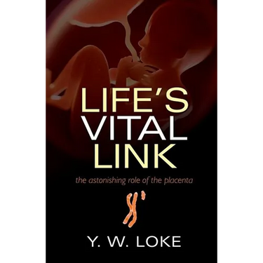 Life's Vital Link: The Astonishing Role of the Placenta