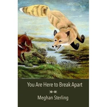 You Are Here to Break Apart