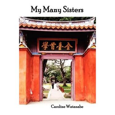 My Many Sisters, the Journal of a Volunteer with the Daughters of Charity