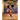 The Little Basketball Star