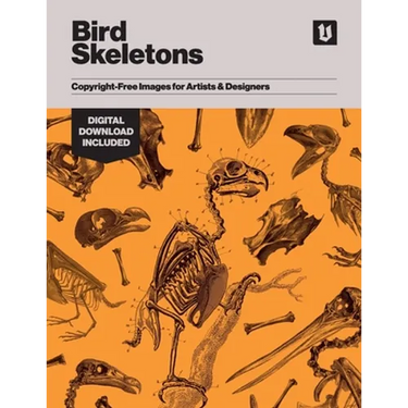 Bird Skeletons: Copyright-Free Images for Artists & Designers