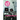 Pink and the Black: Homosexuals in France Since 1968