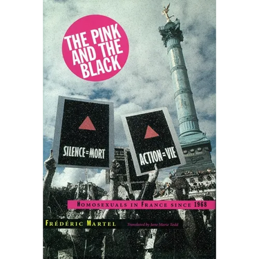 Pink and the Black: Homosexuals in France Since 1968