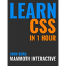 Learn CSS in 1 Hour