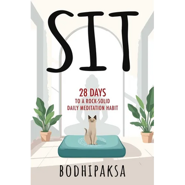 Sit: 28 Days to a Rock-Solid Daily Meditation Habit