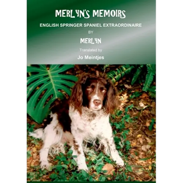 Merlyn's Memoirs: English Springer Spaniel Extraordinaire