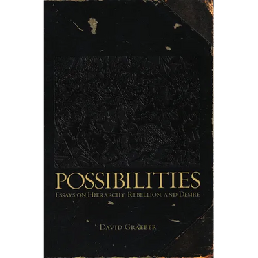 Possibilities: Essays on Hierarchy, Rebellion, and Desire