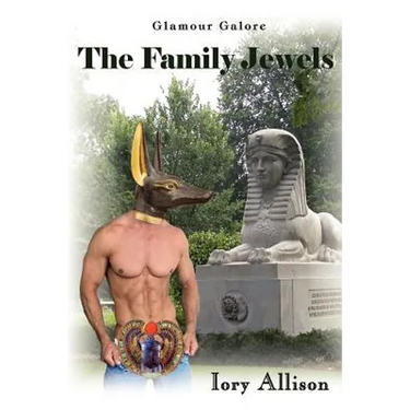 The Family Jewels: A gay comedic mystery