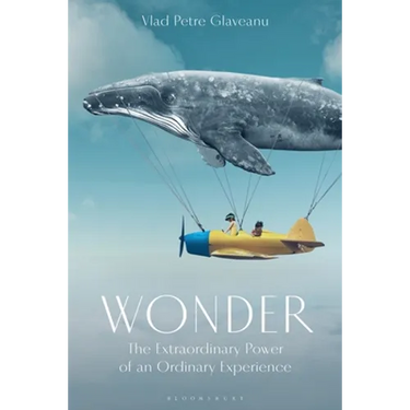Wonder: The Extraordinary Power of an Ordinary Experience