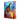 The Dark Secret: Special Edition (Wings of Fire Book Four): Volume 4