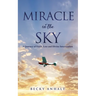Miracle in the Sky: A Journey of Faith, Loss and Divine Intervention