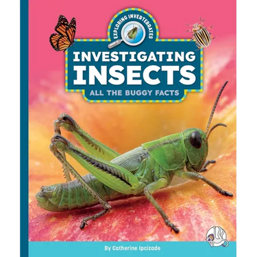Investigating Insects: All the Buggy Facts