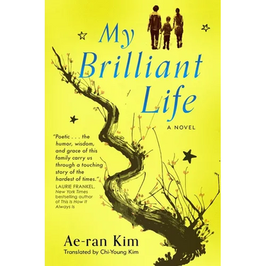 My Brilliant Life