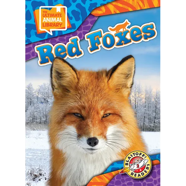Red Foxes