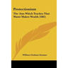 Protectionism: The -Ism Which Teaches That Waste Makes Wealth (1885)