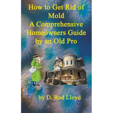 How to Get Rid of Mold A Comprehensive Homeowners Guide