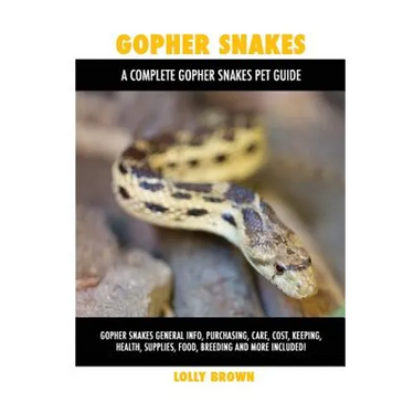 Gopher Snakes: Gopher Snakes General Info, Purchasing, Care, Cost, Keeping, Health, Supplies, Food, Breeding and More Included! A Com