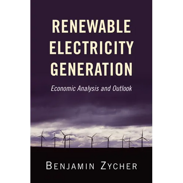 Renewable Electricity Generation: Economic Analysis and Outlook