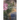 The Seasons