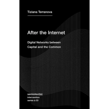 After the Internet: Digital Networks Between Capital and the Common