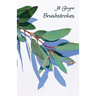 Brushstrokes