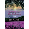 Walking Into The Unknown (#10 in the Bregdan Chronicles Historical Fiction Romance Series)