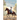 The Spring Clinic Challenge (Young Equestrian Fiction): A Middle Grade Horse Story About Dressage, Jumping, Partnership, Confidence, and Emotional Gro