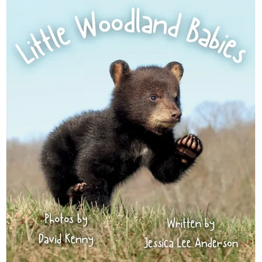 Little Woodland Babies