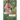 Mangrove Magic: Game of Clones