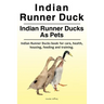 Indian Runner Duck. Indian Runner Ducks As Pets. Indian Runner Ducks book for care, health, housing, feeding and training.