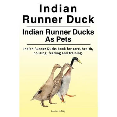 Indian Runner Duck. Indian Runner Ducks As Pets. Indian Runner Ducks book for care, health, housing, feeding and training.