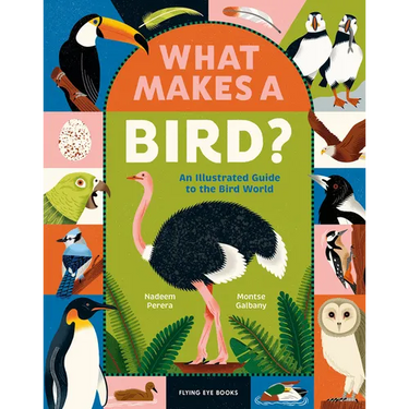 What Makes a Bird?: An Illustrated Guide to the Bird World